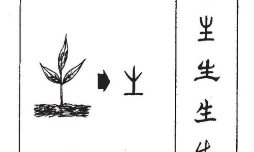 药用炭片对身体有什么危害吗-药用炭片的功能和作用、药用炭片又叫什么 -什么是药用炭片网